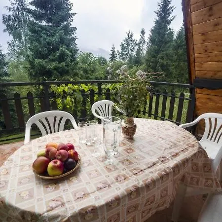 Partykowka