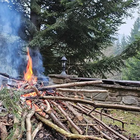 Partykowka Poręba Wielka